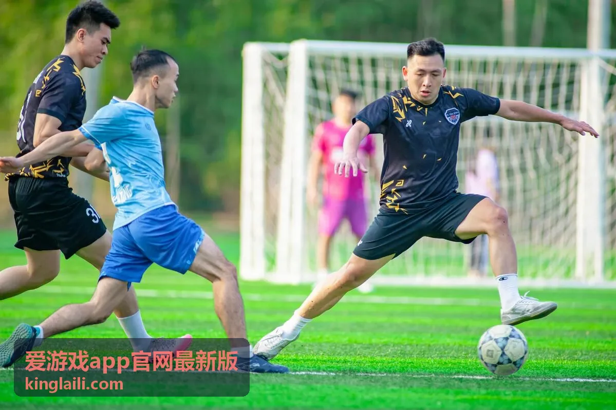 爱游戏app官网最新版 版本说明与功能核对示意