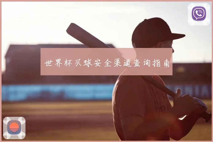 世界杯买球安全渠道查询指南