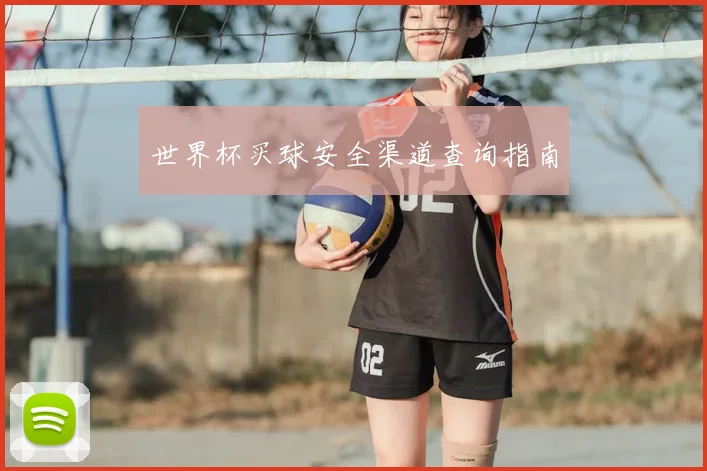 世界杯买球安全渠道查询指南