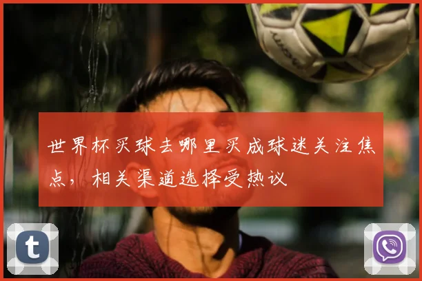 世界杯买球去哪里买成球迷关注焦点，相关渠道选择受热议