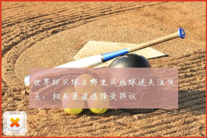 世界杯买球去哪里买成球迷关注焦点，相关渠道选择受热议