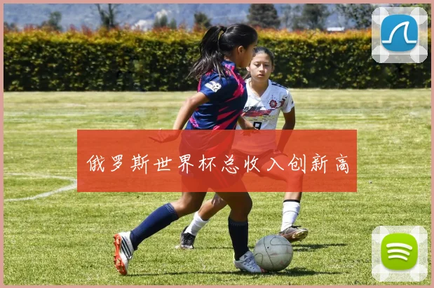 俄罗斯世界杯总收入创新高