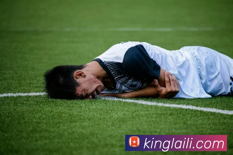 中欧官网登录全站App